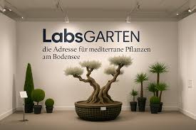 LabsGARTEN Showroom in Radolfzell